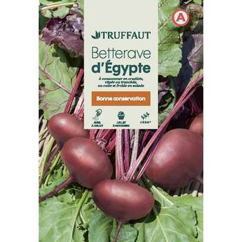 Betterave noire d?Egypte : En sachet