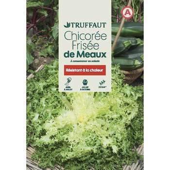 Chicorée frisée de Meaux : sachet