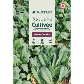 Roquette cultivée sachet 4g