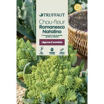 Chou-fleur Romanesco : en sachet