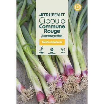 Ciboule commune rouge : en sachet