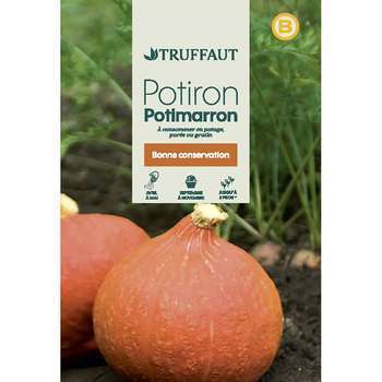 Potiron potimaron : en sachet