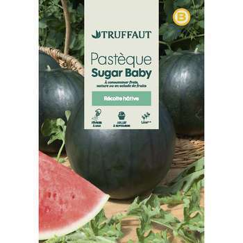 Pastèque Sugar Baby : En sachet