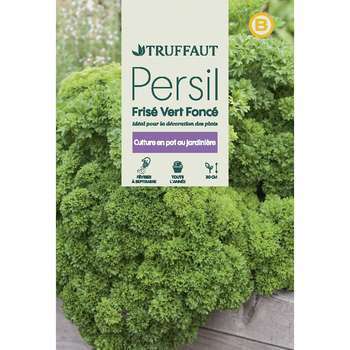 Persil frisé vert foncé : sachet