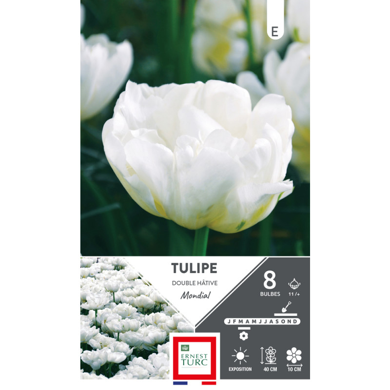 Bulbes de Tulipes doubles hâtive Mondial - coloris