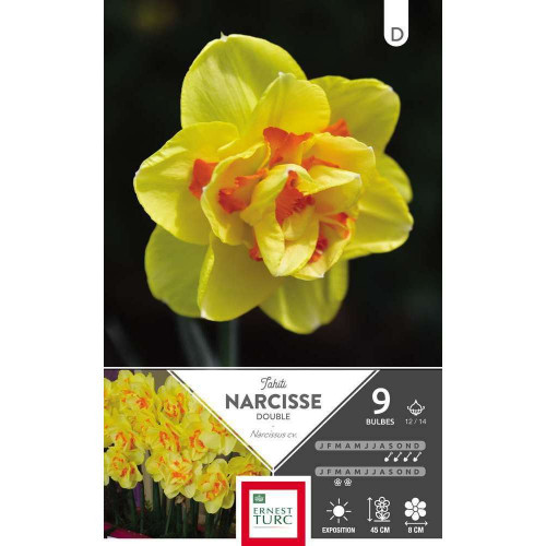Bulbes de narcisses doubles 'Tahiti' - x9