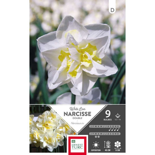 Bulbes de narcisses doubles 'White Lion' - x9