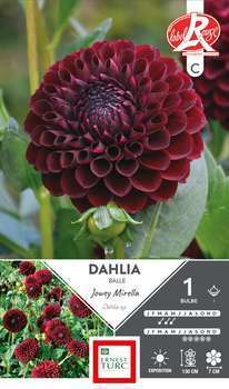 Dahlia Balle Jowey Mirella Label Rouge