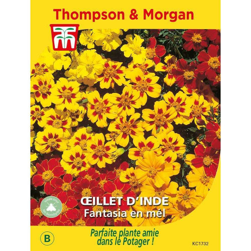 Graines d'Oeillet d'Inde Fantasia en mélange