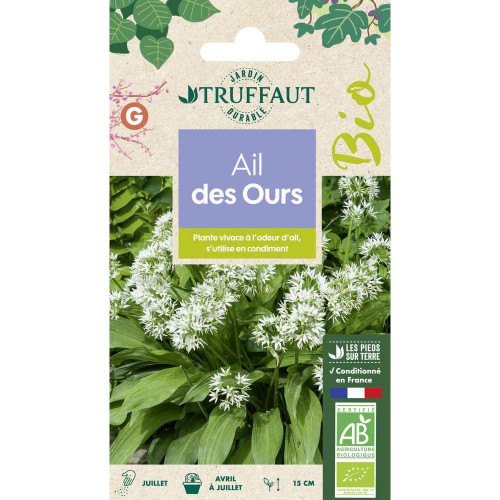 Graines d'ail des Ours Bio