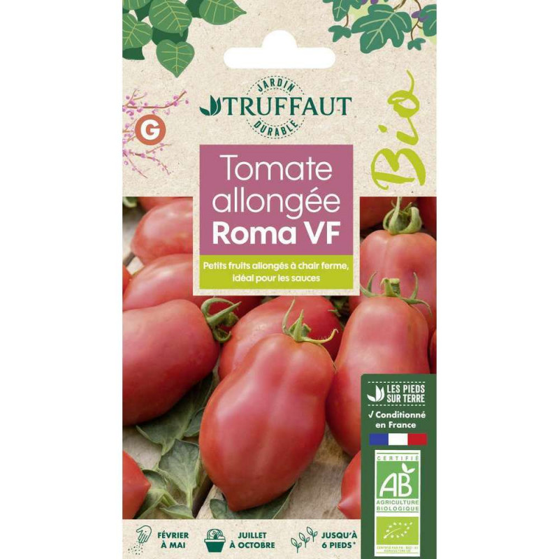 Graines de Tomate Roma V. F Bio