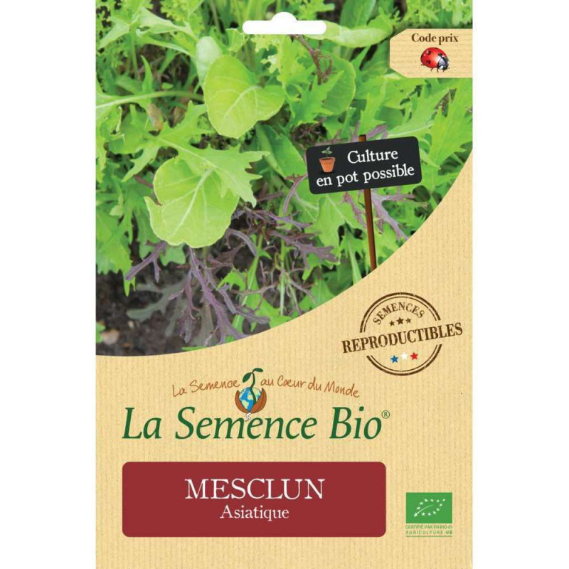 Graines de légumes Mesclun Asiatique Bio