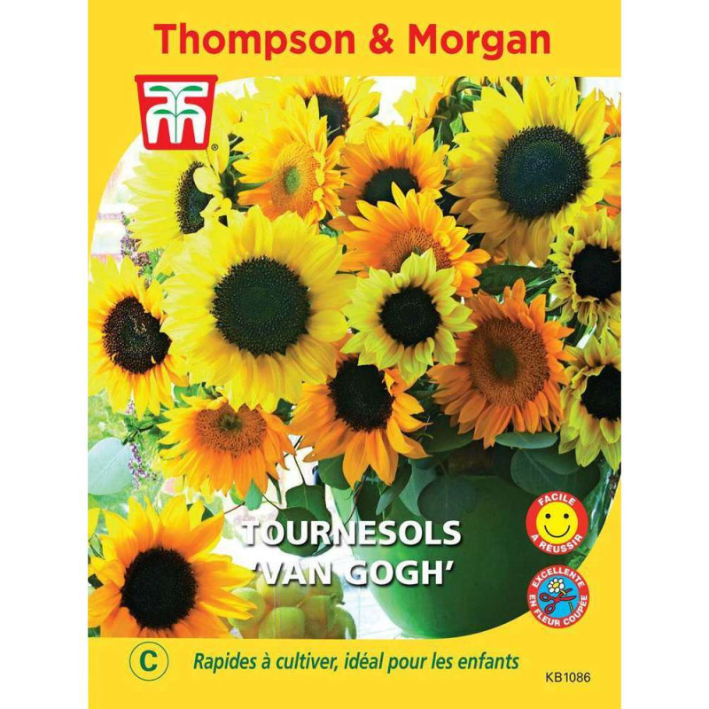 Graines de Tournesols Van Gogh