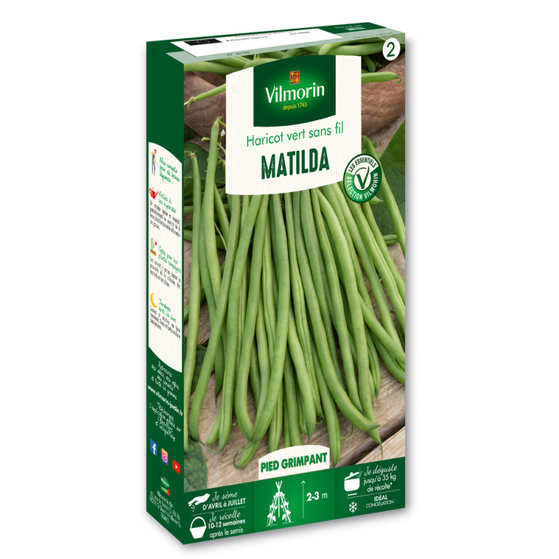 Haricot vert sans fil Matilda