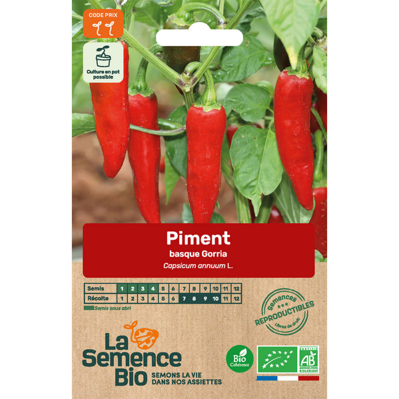 Graines potagères bio : piment Gorria