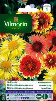 Gaillarde vivace variée à grande fleur : en sachet