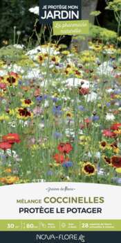 Prairies fleuries : j'attire les coccinelles - 30m
