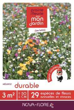 Prairies fleuries : prairie durable 3 m2