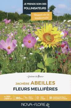 Mélange fleuri  Abeilles annuelles et vivaces 500