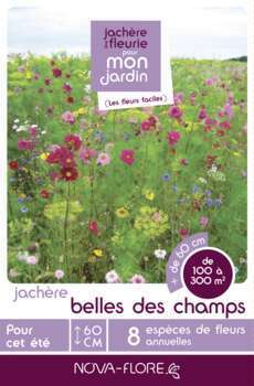 Prairies fleuries : jachères belle des champs 100