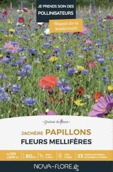 Prairies fleuries : jachère papillons - 100/200m²