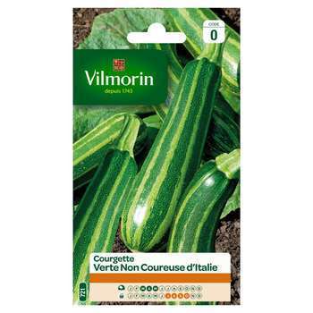 Graines de courgette Non Coureuse d'Italie en sach