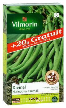 Graines de haricot nain a filet sans fil Divinel e