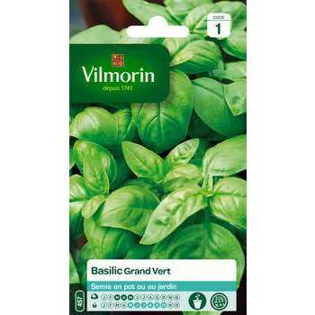 Graines de basilic grand'vert en sachet