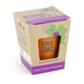 Kit Bonne chance Trèfle à 4 feuilles