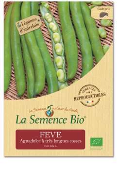 Graines potagères Feve Aguadulce à très longues co