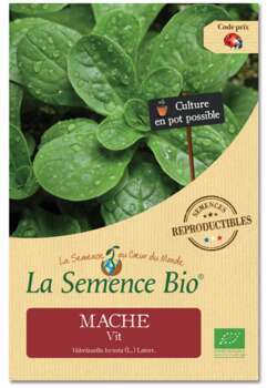 Graines potagères Mâche Vit Bio en sachet