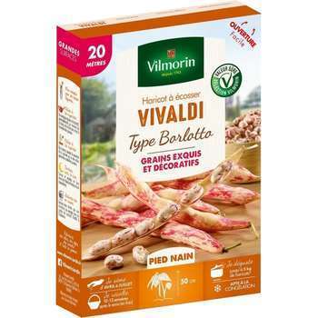 Graines de haricot nain à Ecosser Vivaldi (type Bo