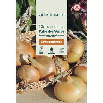 Graines d'oignons jaune paille des vertus en sache