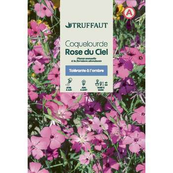 Coquelourde Rose du ciel : en sachet