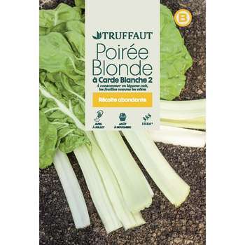 Graines de poirée blonde à carde blanche 2 en sach
