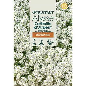 Alysse Tapis d'argent : en sachet
