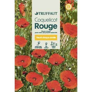 Coquelicot simple Rouge : En Sachet