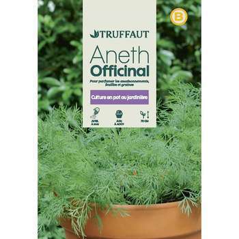 Graines d'aneth officinale en sachet