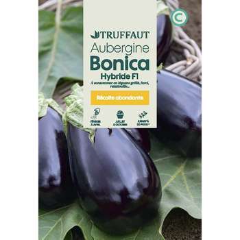 Graines d'aubergine bonica Hybride F1 en sachet