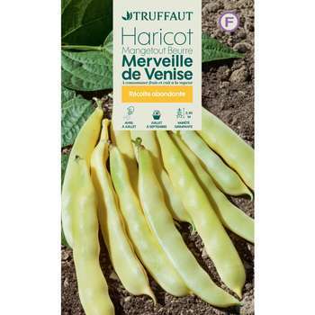 Graines de haricot mangetout à rames Merveille de