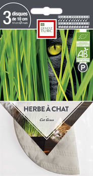 Graines d'herbe à chat Bio en disque pré-semé en s