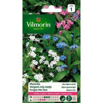Myosotis des Alpes Varié 0,7 g