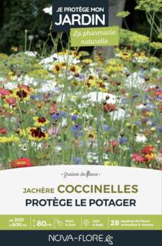 Jachere Coccinelles
