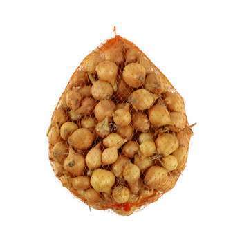 Oignon 'Jaune paille des vertus' 14/21 : 500g
