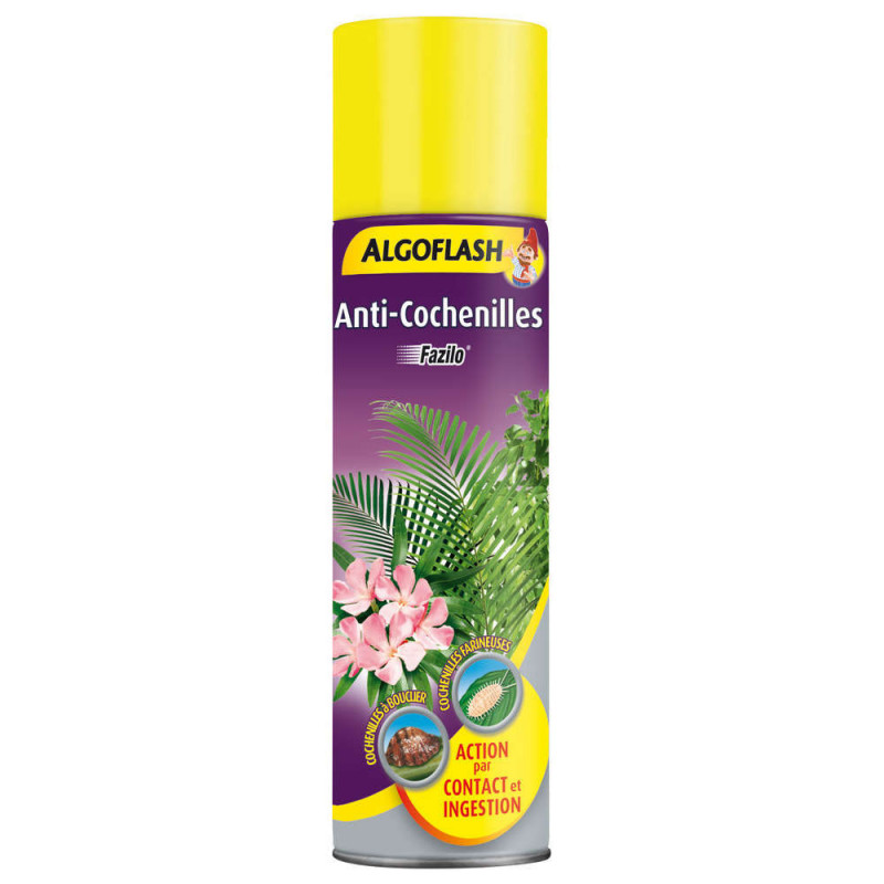 Insecticide spécial cochenilles plantes d'intérieu