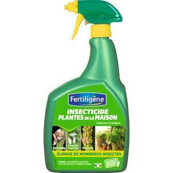 Insecticide pour plantes de la maison, prêt à l'em