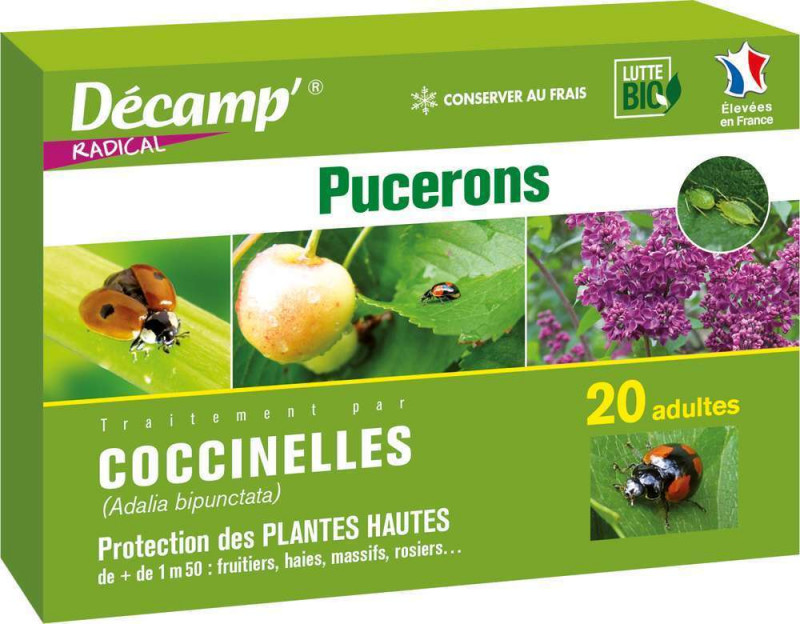 50 larves de coccinelle : anti-pucerons