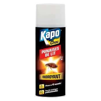 Aérosol foudroyant punaises de lit 400ML