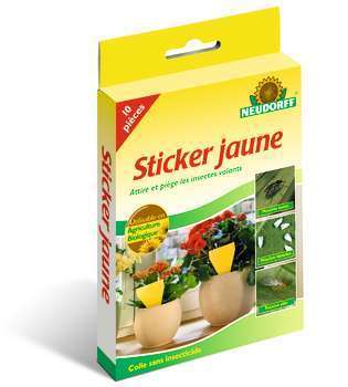 Sticker jaune : 10 pièges