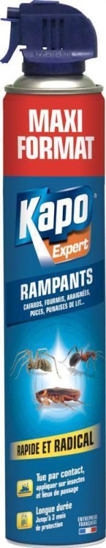 Aérosol contre insectes rampants - 500ml